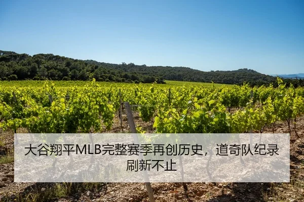 大谷翔平MLB完整赛季再创历史，道奇队纪录刷新不止