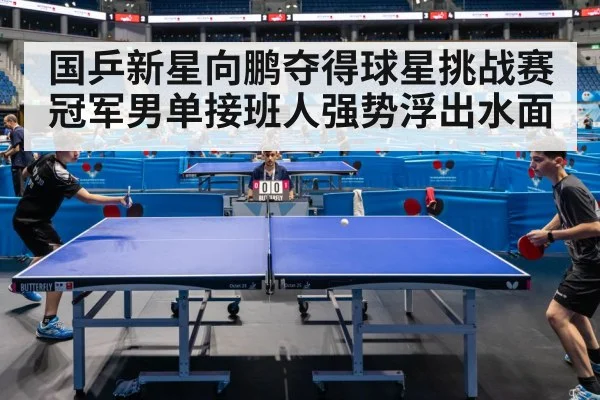 国乒新星向鹏夺得球星挑战赛冠军男单接班人强势浮出水面