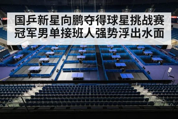 chinese table tennis team